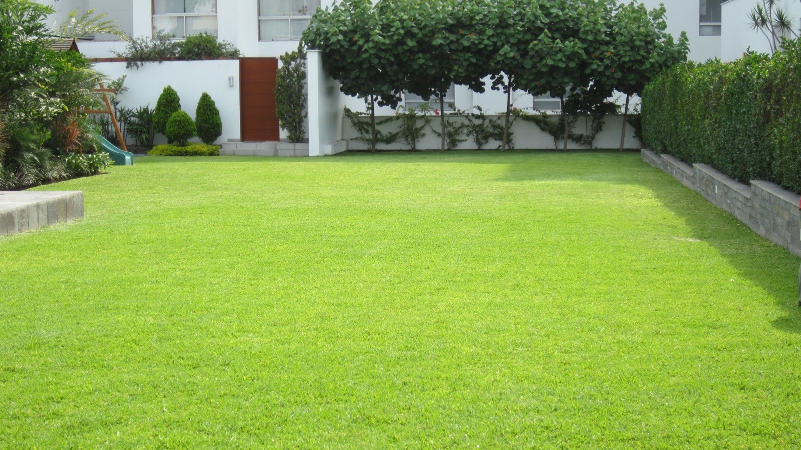 Proyecto JardineriaSac