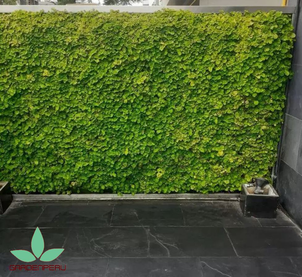 Proyecto JardineriaSac