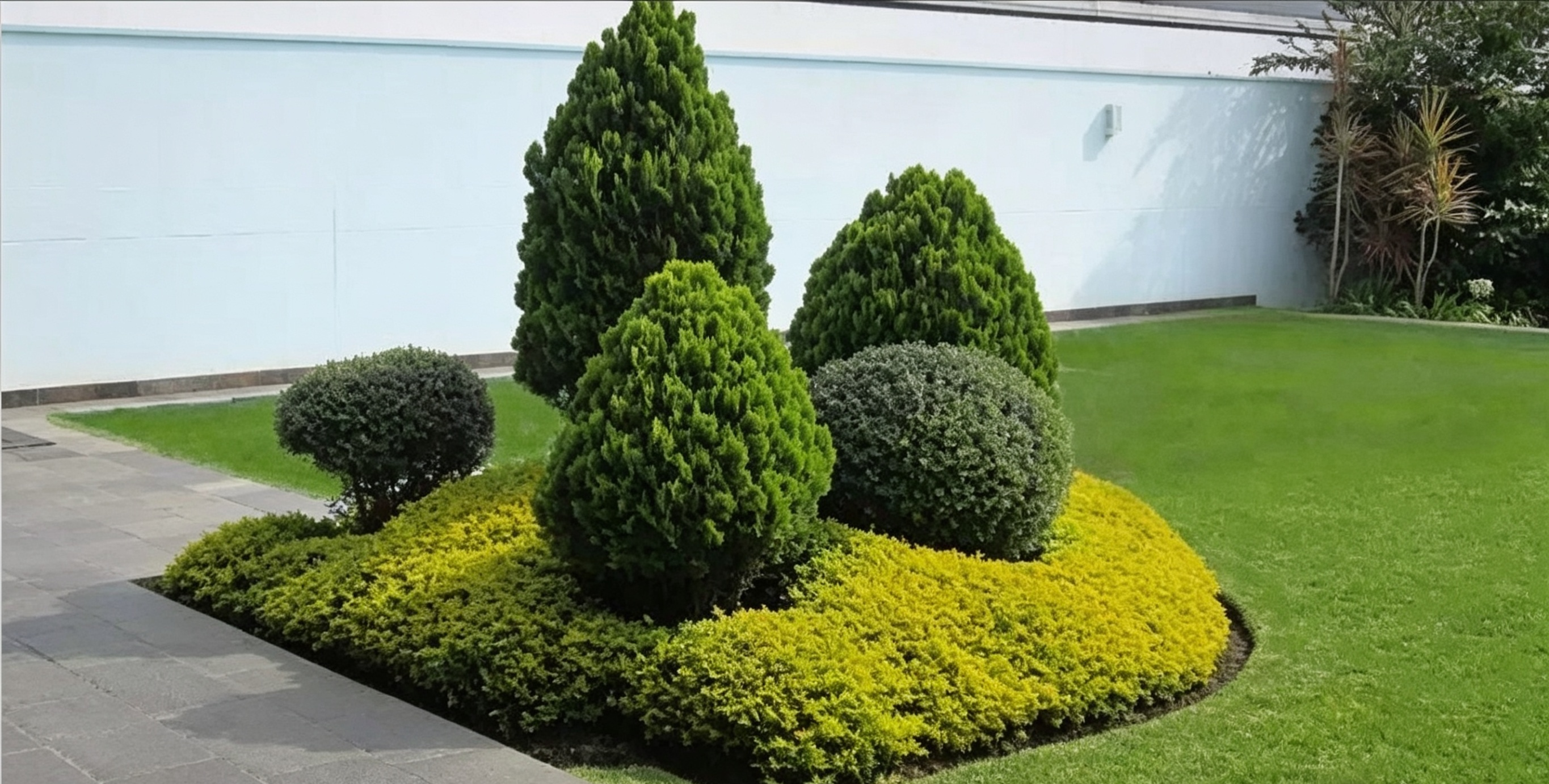 Proyecto JardineriaSac