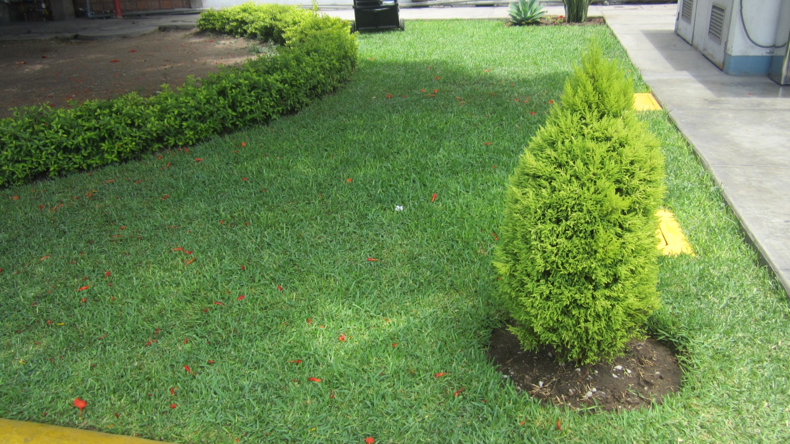 Proyecto JardineriaSac